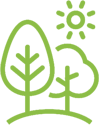 Tous types d'arbres