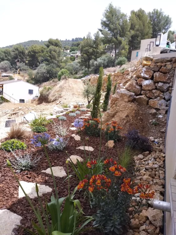 Plantation paysagère à Ollioules, La Seyne-sur-Mer, MF Paysage 83