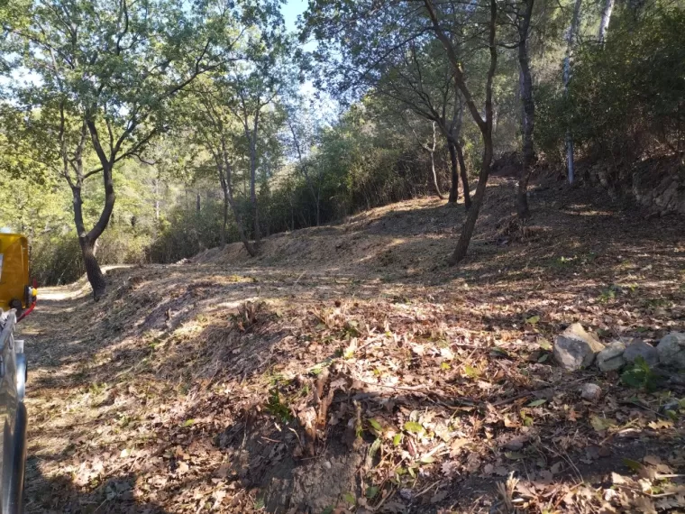 Débroussaillage pour la protection contre les incendies à Le Beausset, La Seyne-sur-Mer, MF Paysage 83